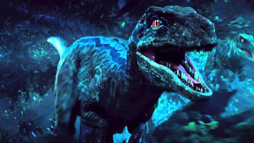 Jurassic World Velociraptor, velociraptor azul fondo de pantalla