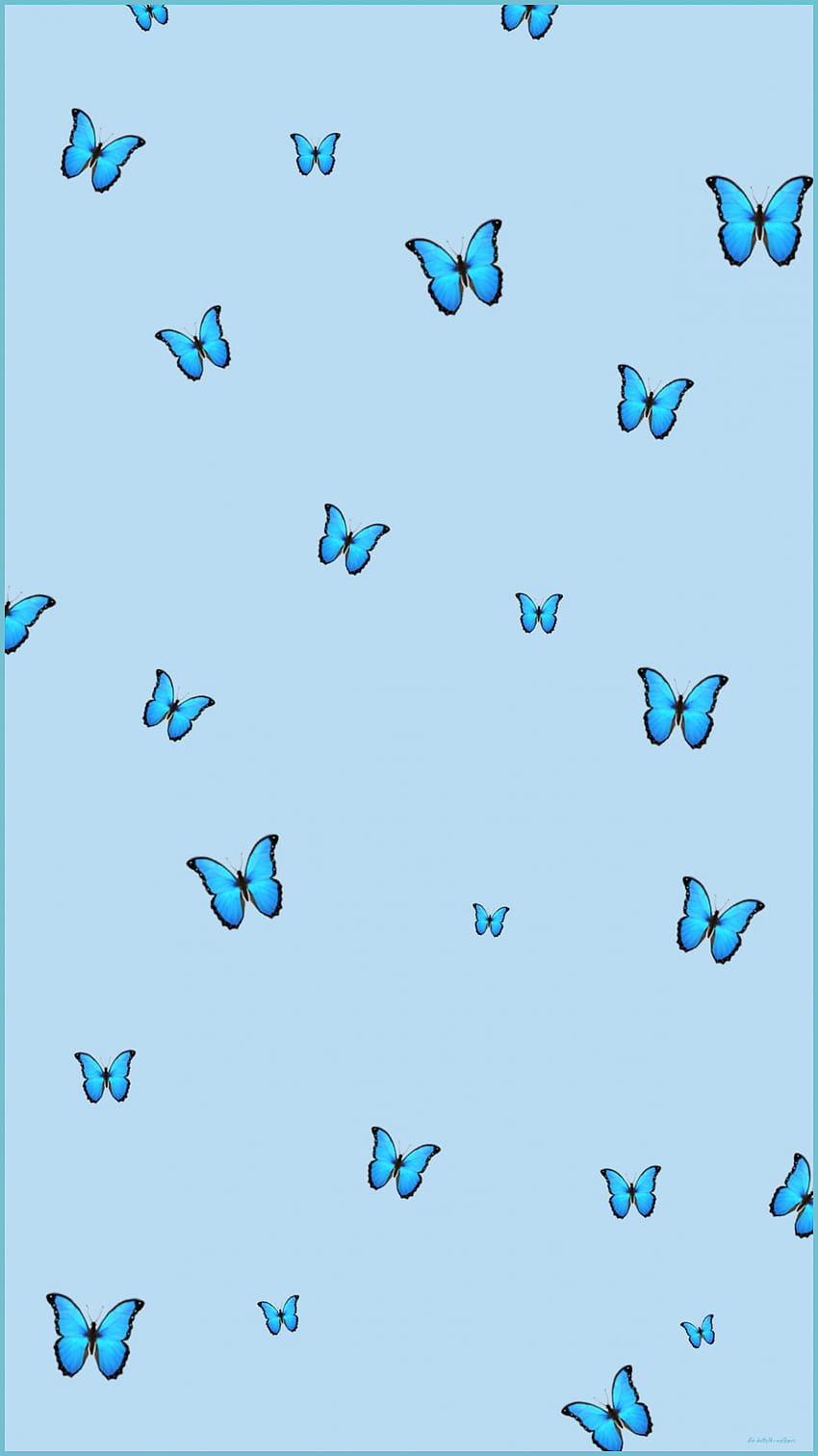 Page 35 | blue-butterflies HD wallpapers | Pxfuel