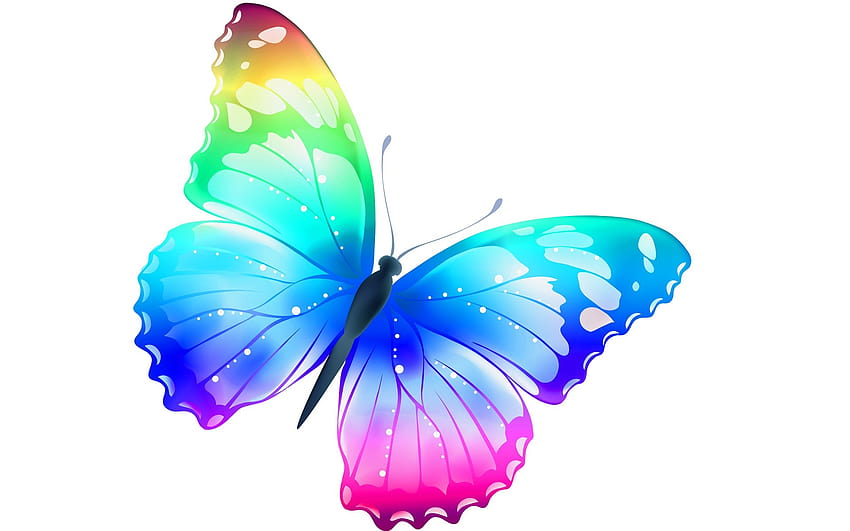 Most Beautiful Butterfly HD wallpaper