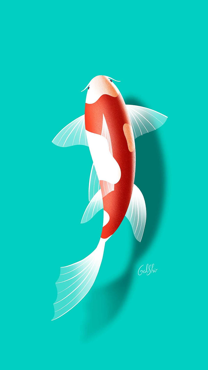 Koi Fish, koi carp HD phone wallpaper | Pxfuel