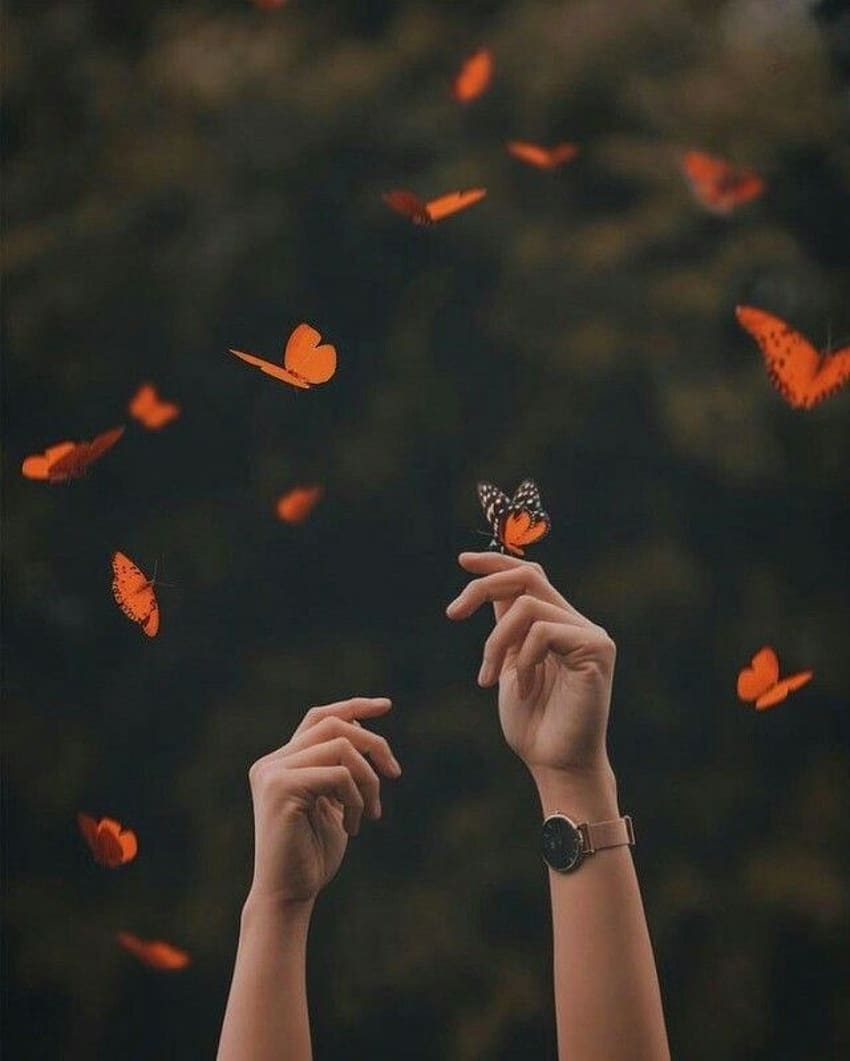 Hände, Schmetterlinge HD-Handy-Hintergrundbild