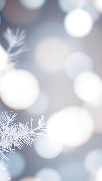 Person Hanging A White Christmas Ball On Christmas Tree  Free Stock Photo