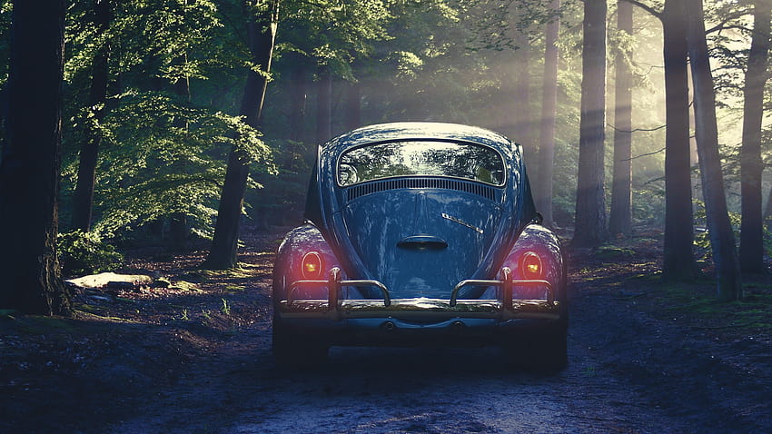 2560x1440 car, retro, forest, fog, retro motor HD wallpaper
