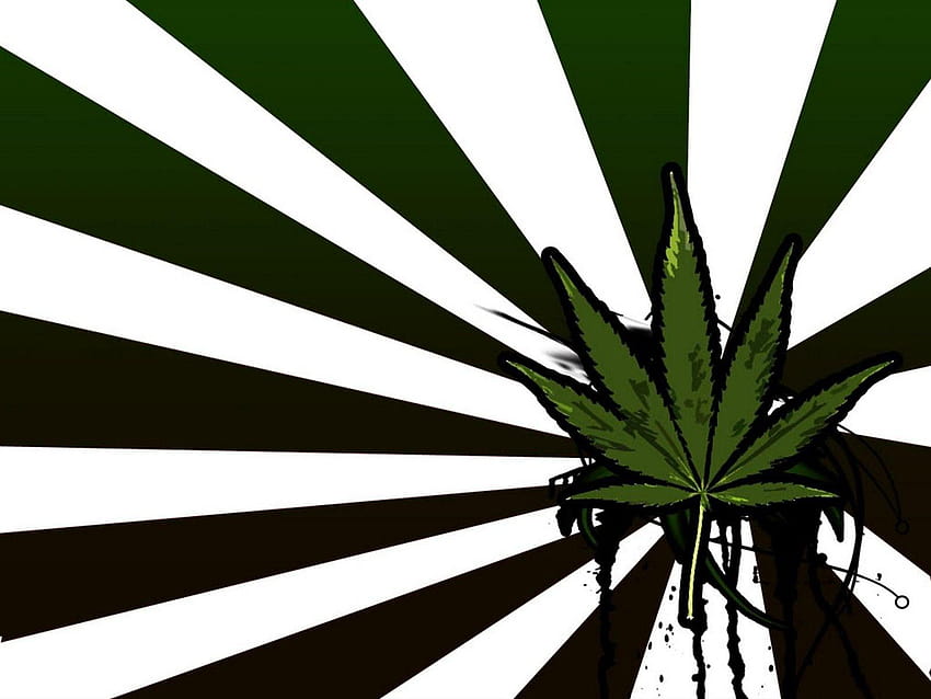 Marihuana-Flagge, die Ihnen hilft, Ihren wahren Stoner-Stolz zu zeigen, ps4 Weed HD-Hintergrundbild