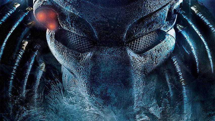 Predator Movie, Acer-Raubtier HD-Hintergrundbild
