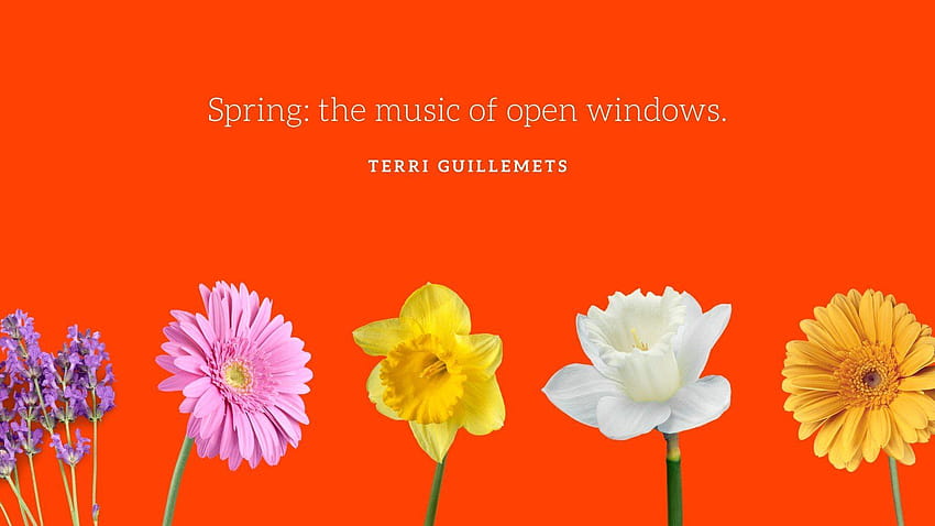 Orange Floral Quote Spring, spring quote HD wallpaper