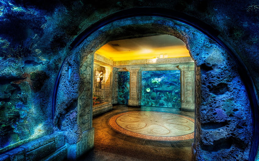 Aquarium Mandalay Bay Las Vegas ... tip HD wallpaper