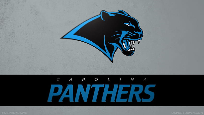 NFL Team Logo Carolina Panthers 2018 in Football HD wallpaper