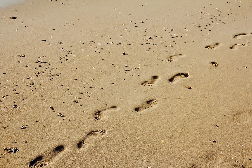 Footprints, Sun, Sand, Paw Print, Footprint, footprints in the sand HD ...