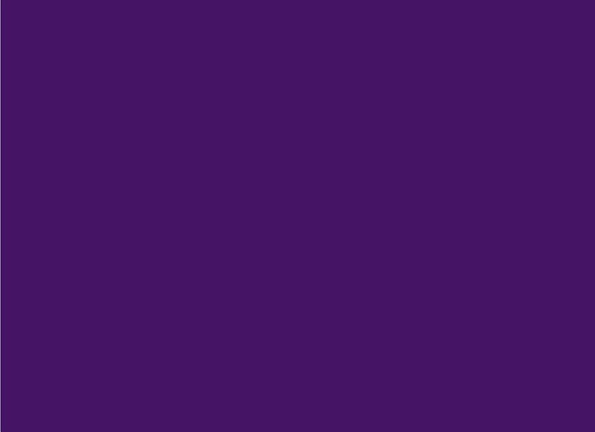 Download Vibrant Solid Light Purple Color Wallpaper  Wallpaperscom