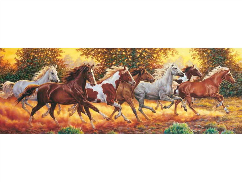 More s, running seven horses HD wallpaper