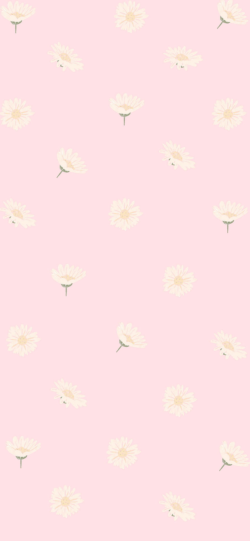 35 Pink Aesthetic : Daisy on Pink, pastel pink aesthetic ipad HD phone wallpaper