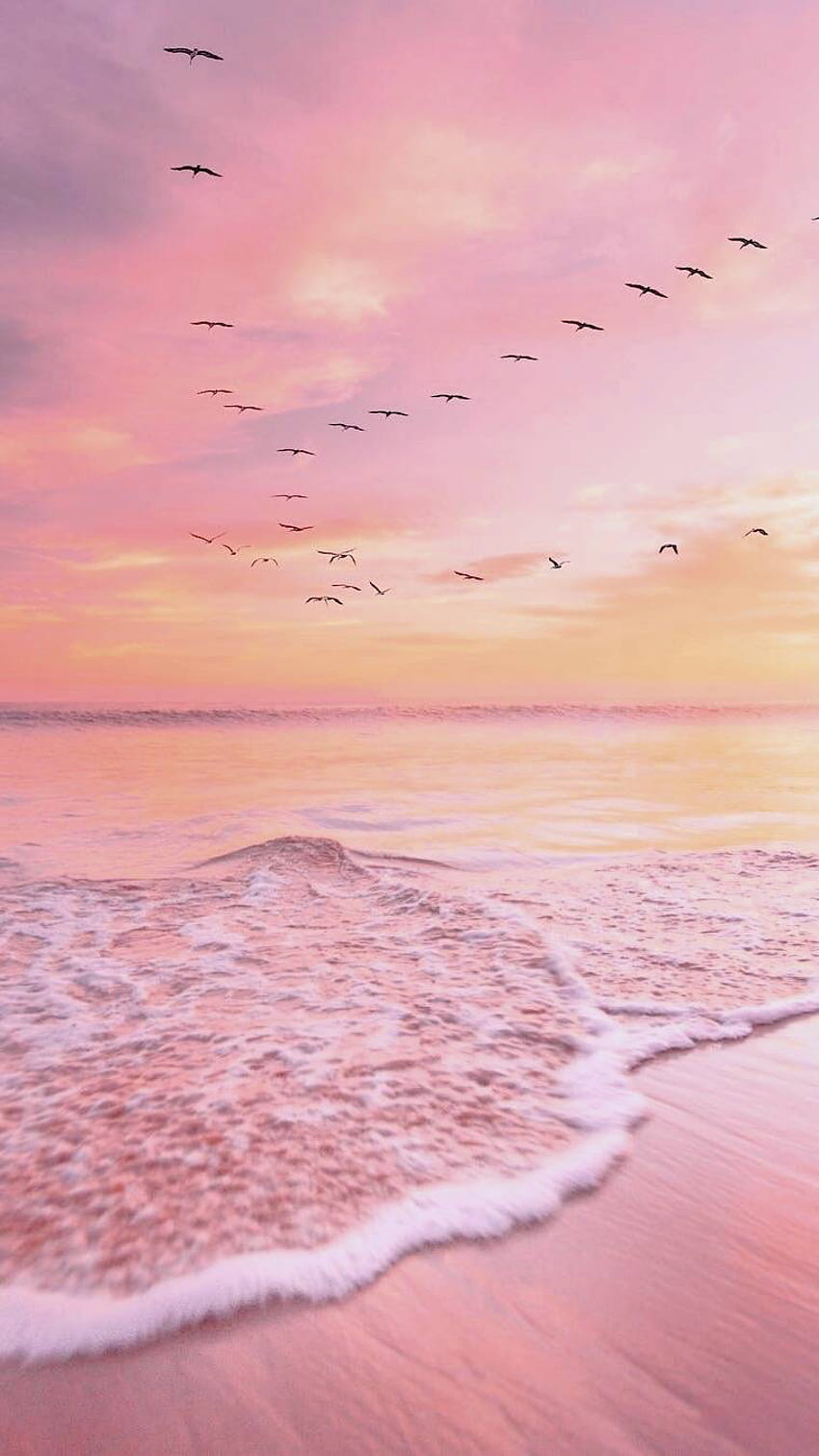 Samudra Merah Muda Matahari Terbenam Yang Indah wallpaper ponsel HD