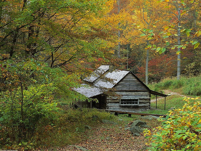 Autumn Landscape, Nature, Log Cabin HD wallpaper