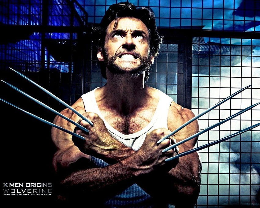 X Men Wolverin , Backgrounds, x men wolverine HD wallpaper | Pxfuel