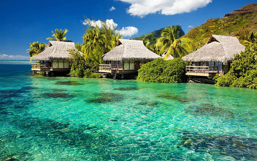 6 Exotic Beach, exotic seychelles HD wallpaper