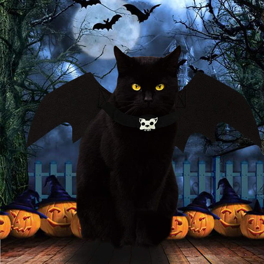 Amazon: Halloween-Katzen-Fledermausflügel-Kostüm, Haustier-Cosplay, Vampir-Verkleidung, Kleidung für kleine Hunde, Weihnachtskleidung, Fledermaus-Skelett-Knochenflügel mit Kätzchen-Welpen-Schädel, Rückenband-Dekoration und Zugseil-Befestigung, Halloween-Katzen süß HD-Handy-Hintergrundbild