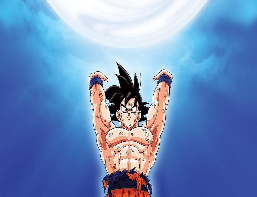 Dragonball Z iPad Mini 4 HD-Hintergrundbild