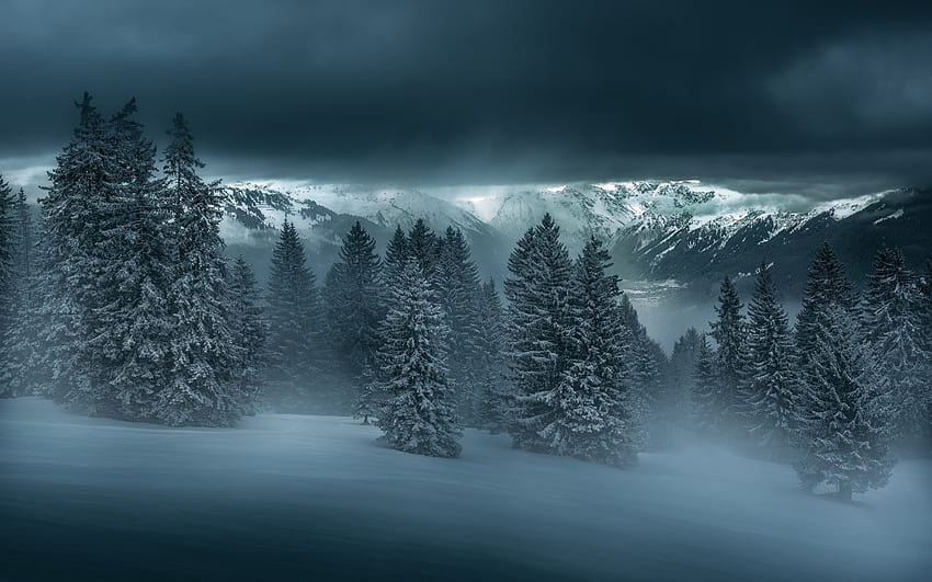 Winter night, forest, trees, mountains, snow 1920x1200 , winter