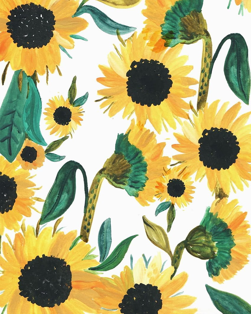 Sonnenblumenmuster, gemeine Sonnenblume HD-Handy-Hintergrundbild