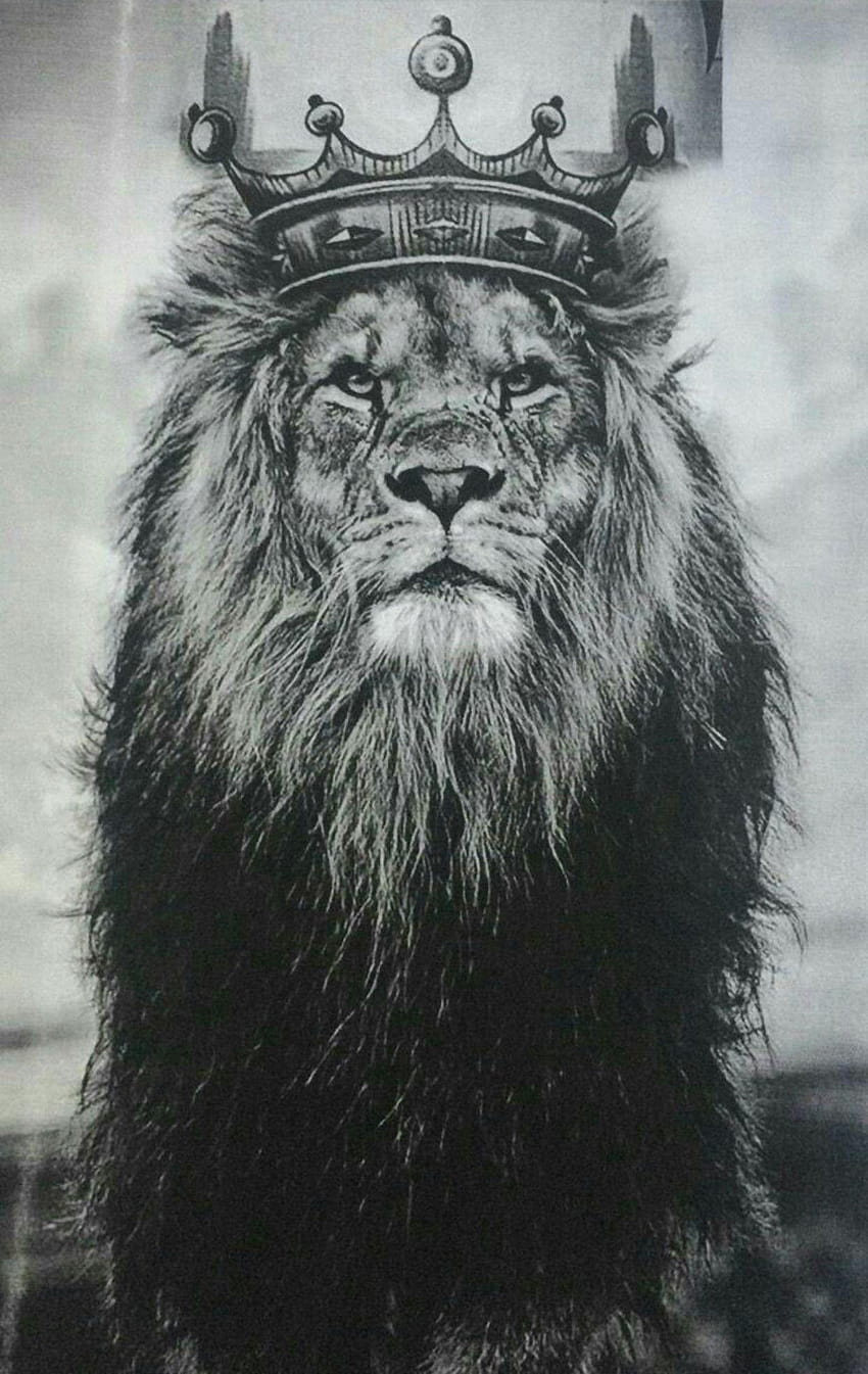 Leão com coroa, coroa do rei Papel de parede de celular HD