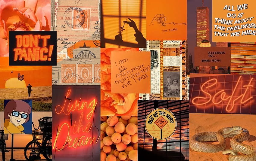laptop aesthetic, orange macbook HD wallpaper