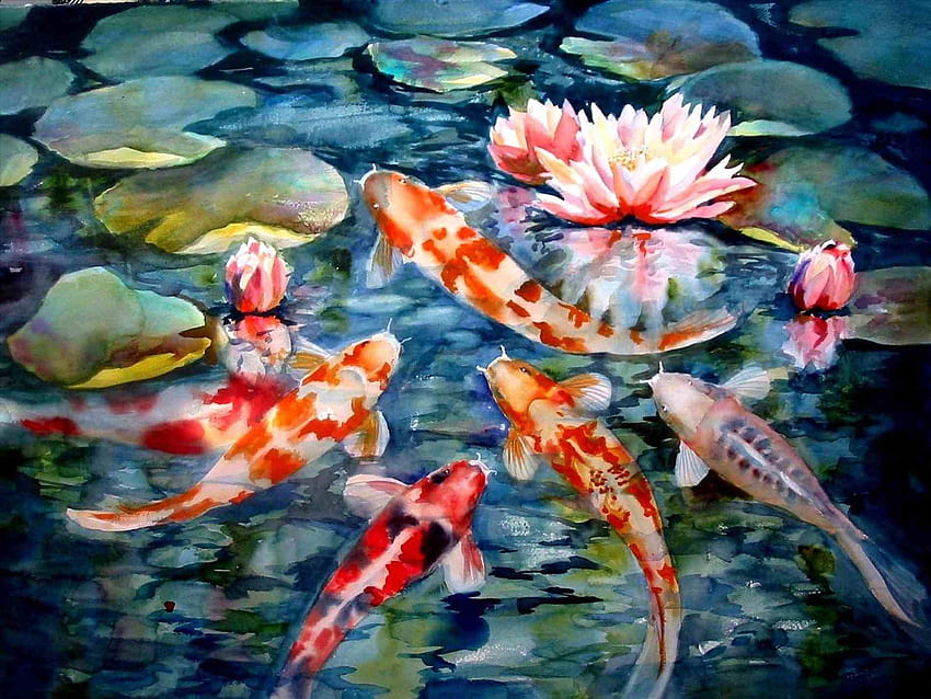 Japanese Koi Pond, japanese fish pond HD wallpaper