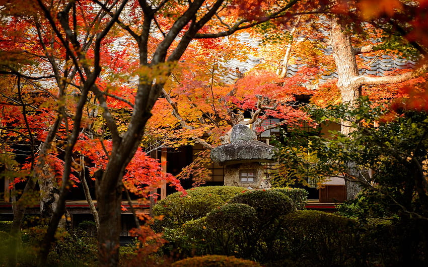 Temple of North East Kyoto 1920x1200 HD wallpaper