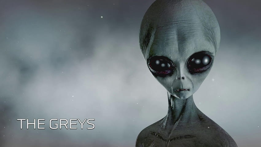 Saksi UFO, alien abu-abu Wallpaper HD
