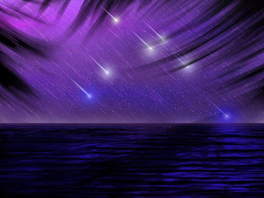 Himmel: Sternschnuppen Palmwedel Nachthimmel Kunst Meer Für Sternschnuppen am Himmel HD-Hintergrundbild