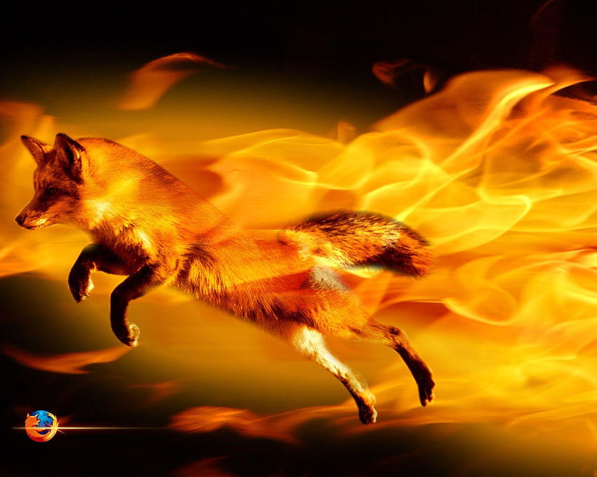 Best 2 Flaming on Hip, fire elemental fox HD wallpaper