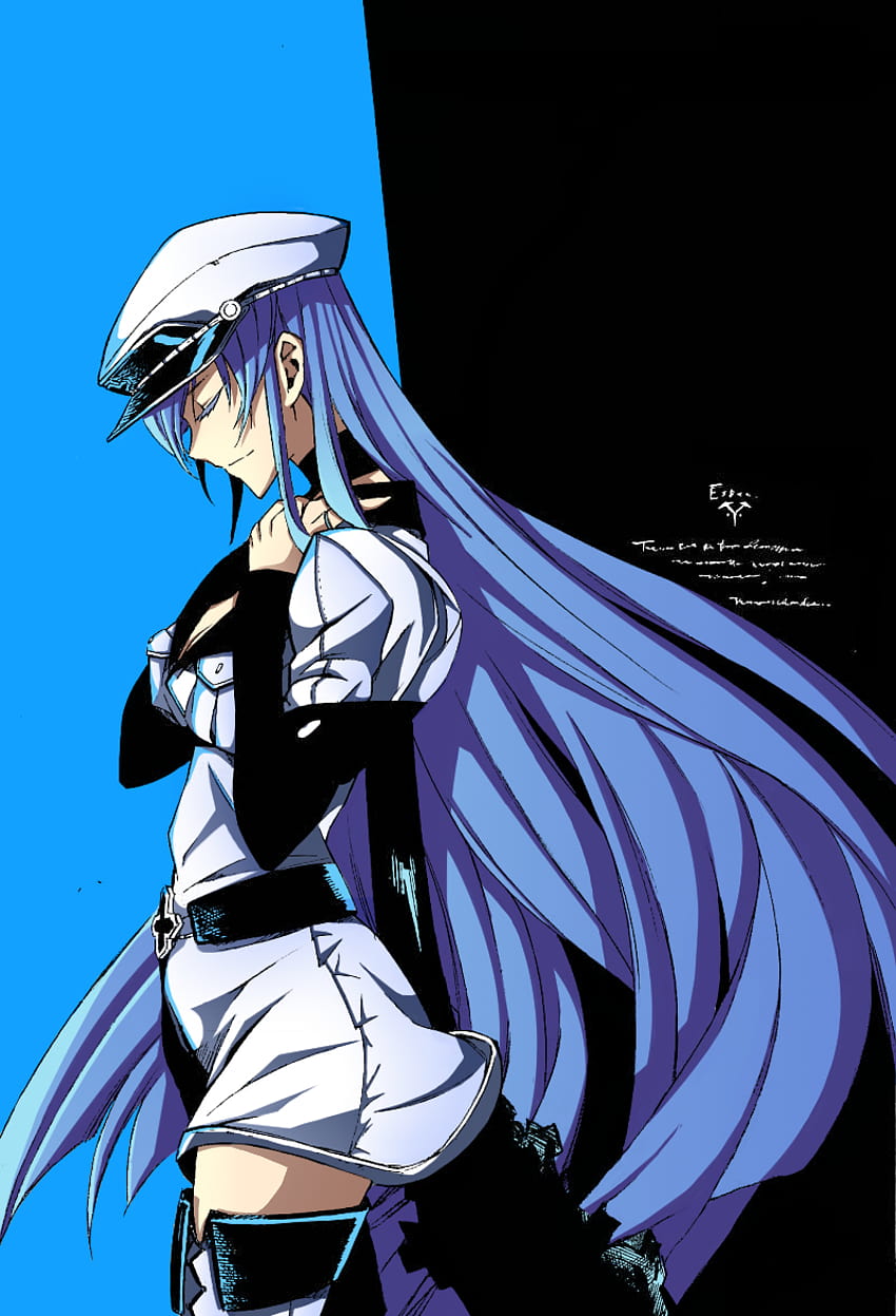 Steam Community :: Screenshot :: Esdeath & Tatsumi - Akame Ga Kill!