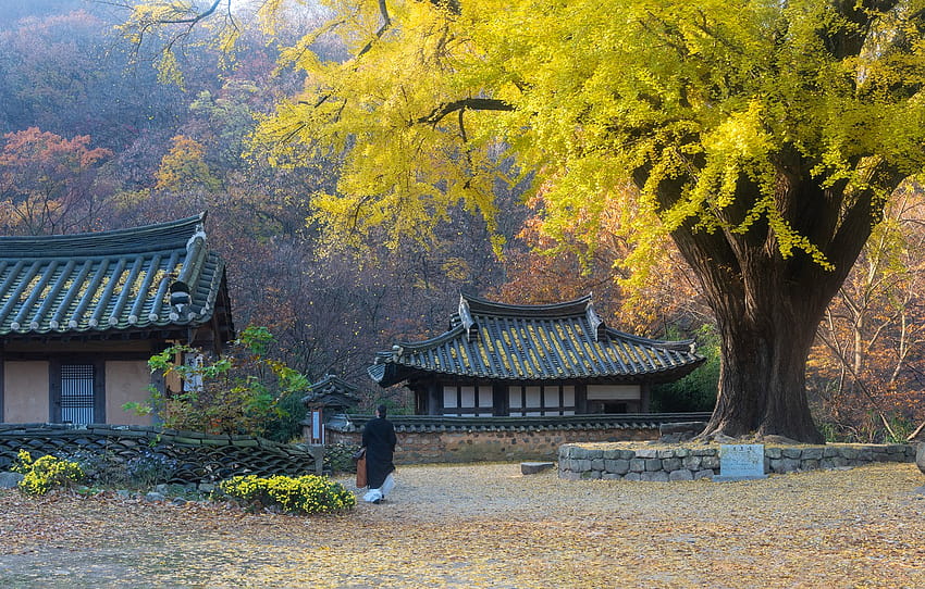 outono, árvores, paisagem, natureza, mulher, casa, Coreia do Sul, seção пейзажи, outono, coreia do sul papel de parede HD