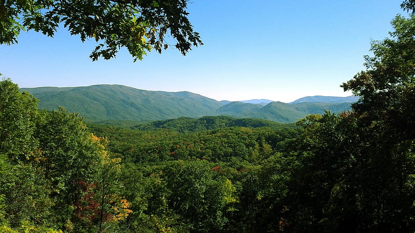 Tennessee, Smoky Mountains, Wald, Berg, Landschaft / und mobile Hintergründe, Waldgebirgslandschaft HD-Hintergrundbild