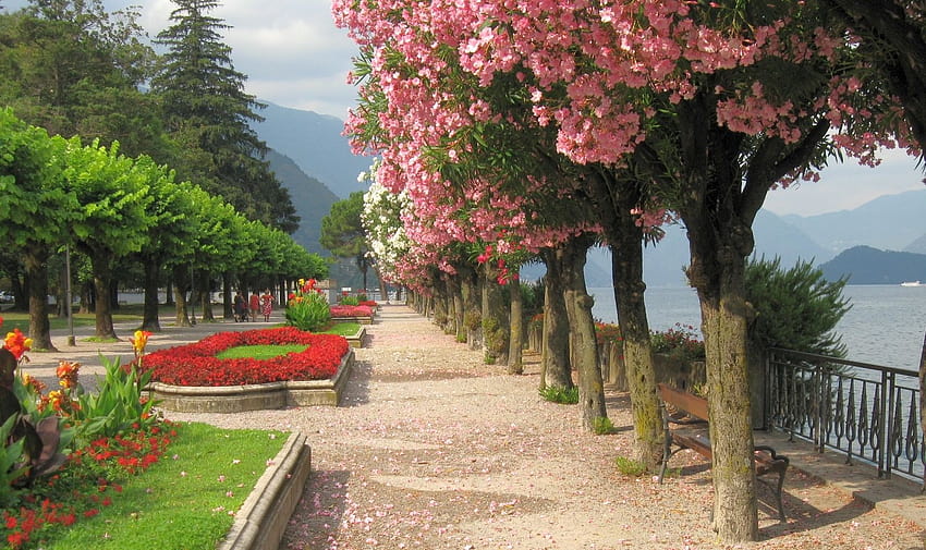 springtime, park, flowers, mountains, lake, beautiful, grass, park spring HD wallpaper