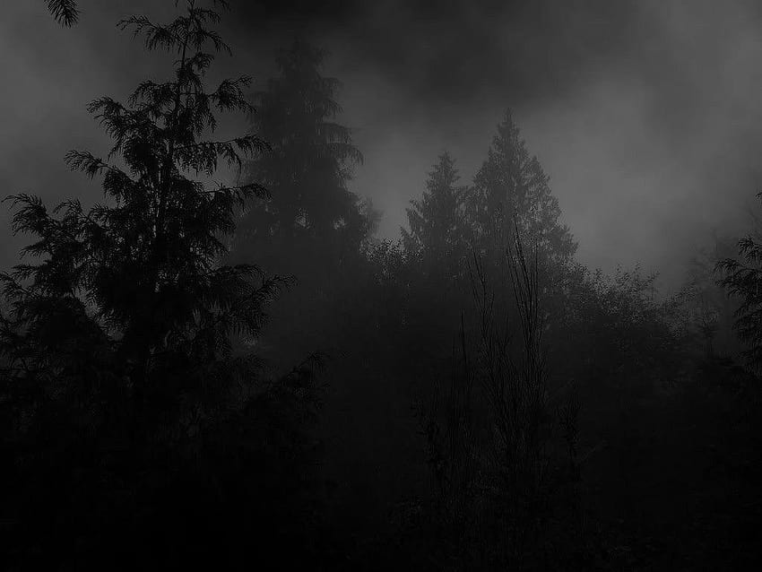 Гори: Депресивна гора Тъмно мрачно черно сиво HD тапет
