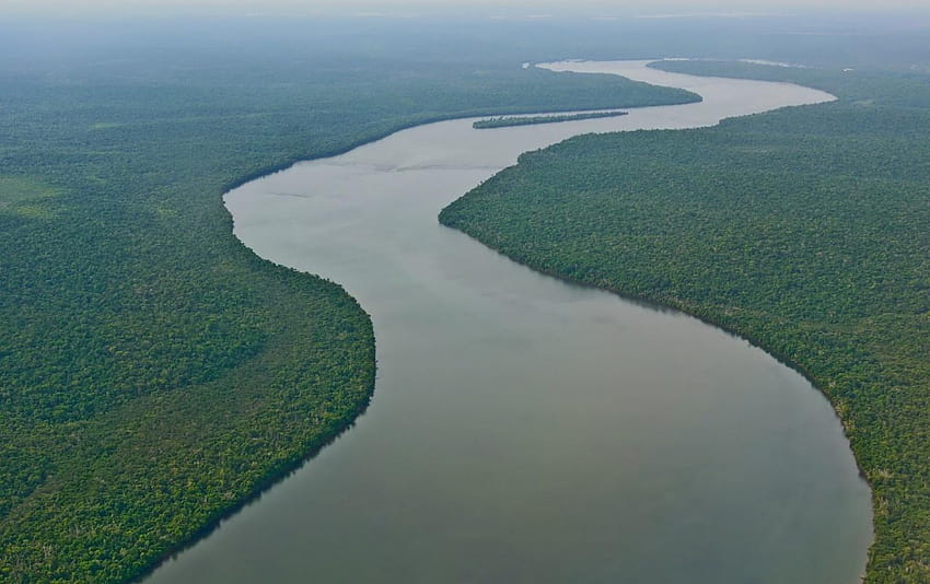 Amazon River South America HD wallpaper