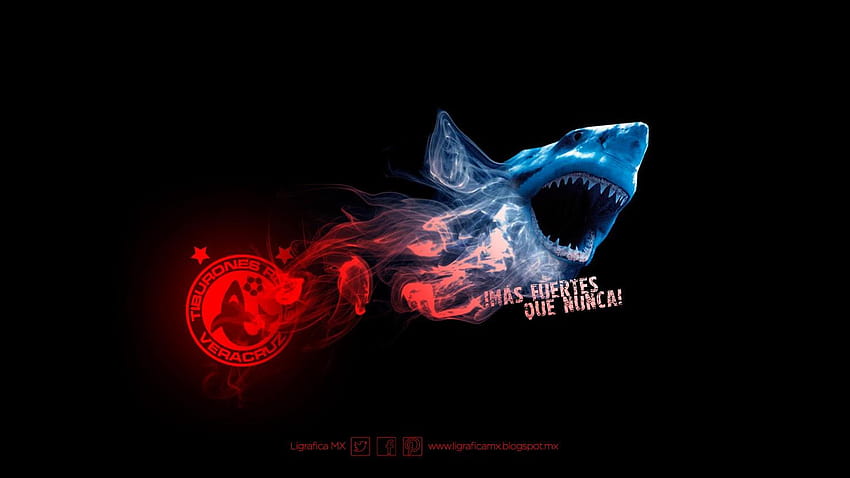 Tiburones Rojos deben pagar adeudos o serán embargados, tiburones rojos de veracruz 高画質の壁紙