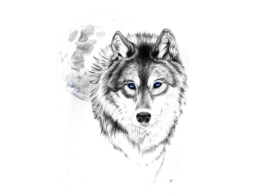 21 Of The Best Wolf Tattoo Designs For Women  PetPress