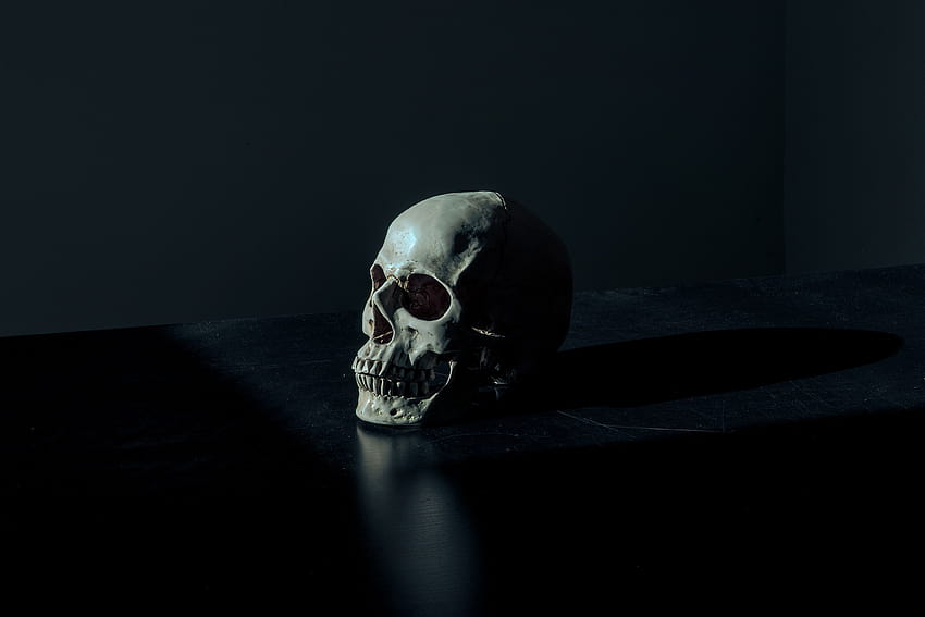 5381521 4466x2978 Commons , skull, head, human skeleton HD wallpaper