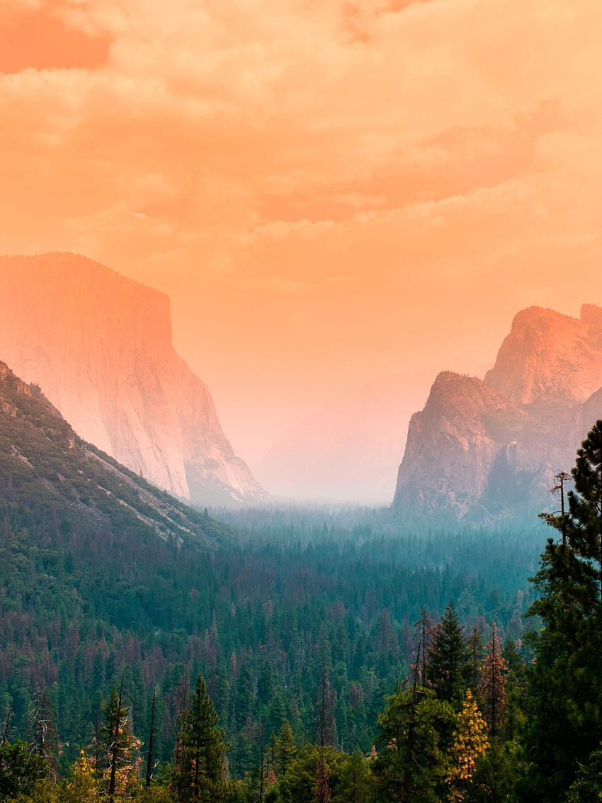 Yosemite Valley , Summer, Green Trees, Orange sky, Cliffs, Nature, summer nature phone HD phone wallpaper