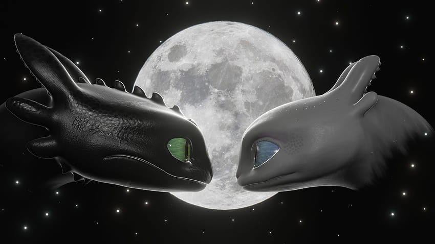 Toothless and Light Fury HD wallpaper