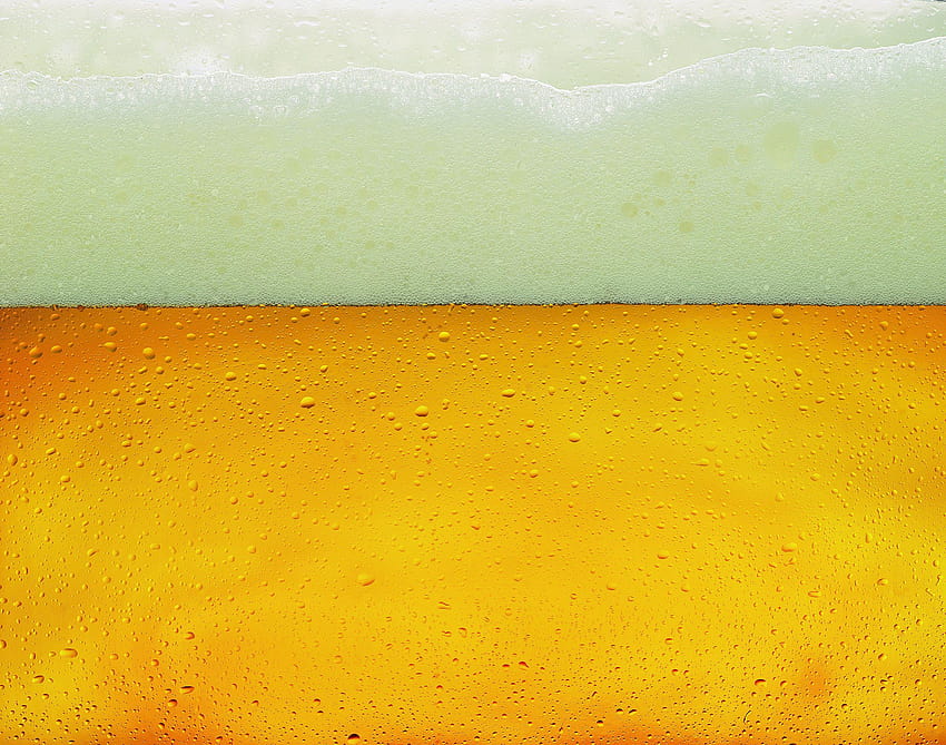 Liquide de bière avec mousse, bière de fond Fond d'écran HD