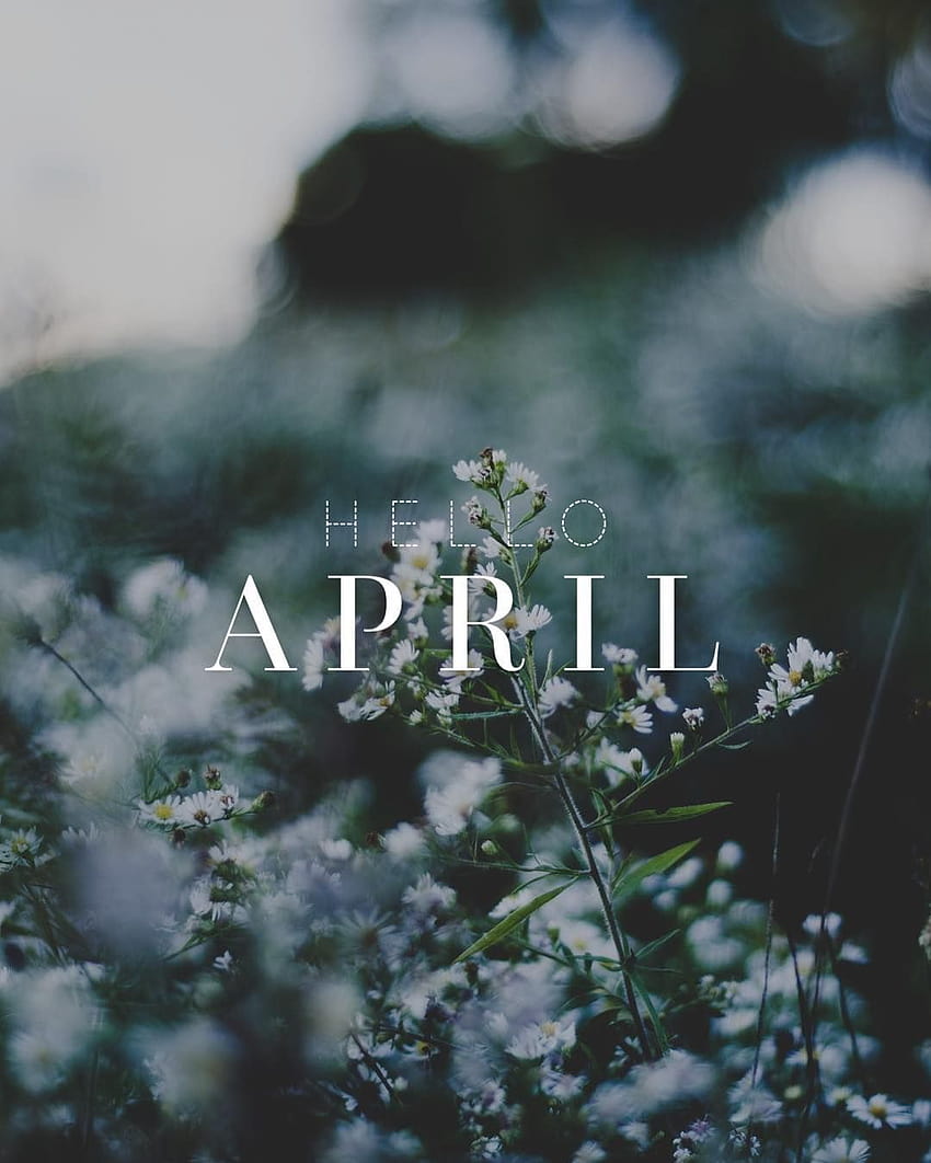 Download April Blooms With Color Wallpaper  Wallpaperscom