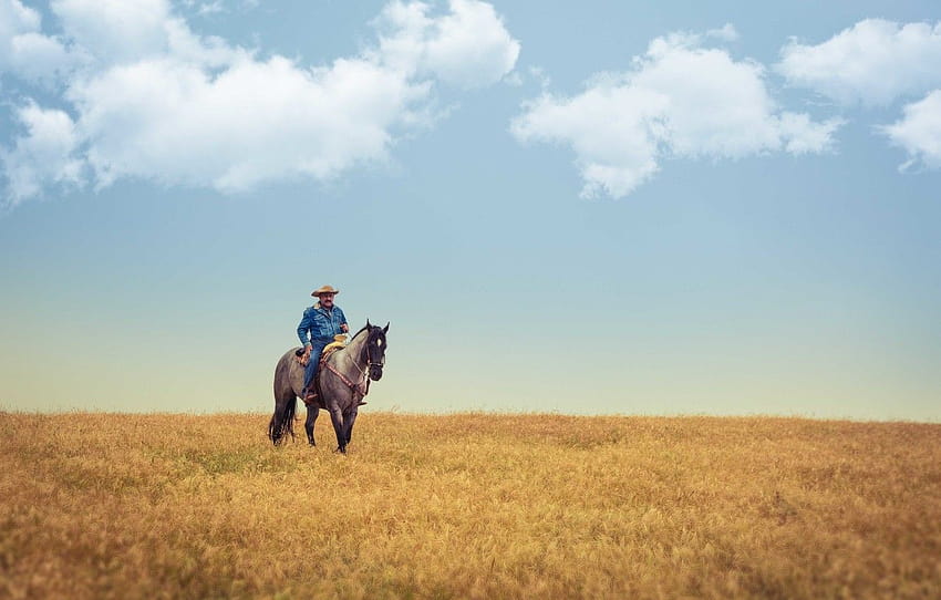 field, the sky, clouds, horse, cowboy, farm, the countryside , section ситуации, working farm HD wallpaper
