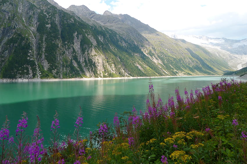 purple and yellow flowers near river surrounded with mountains, landscape with mountain lake and flowers HD wallpaper