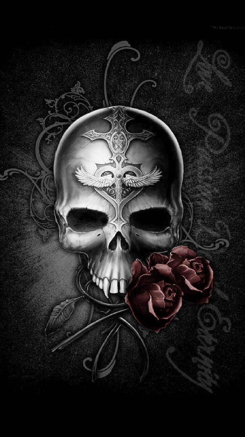 3d skull wallpaperTikTok Search