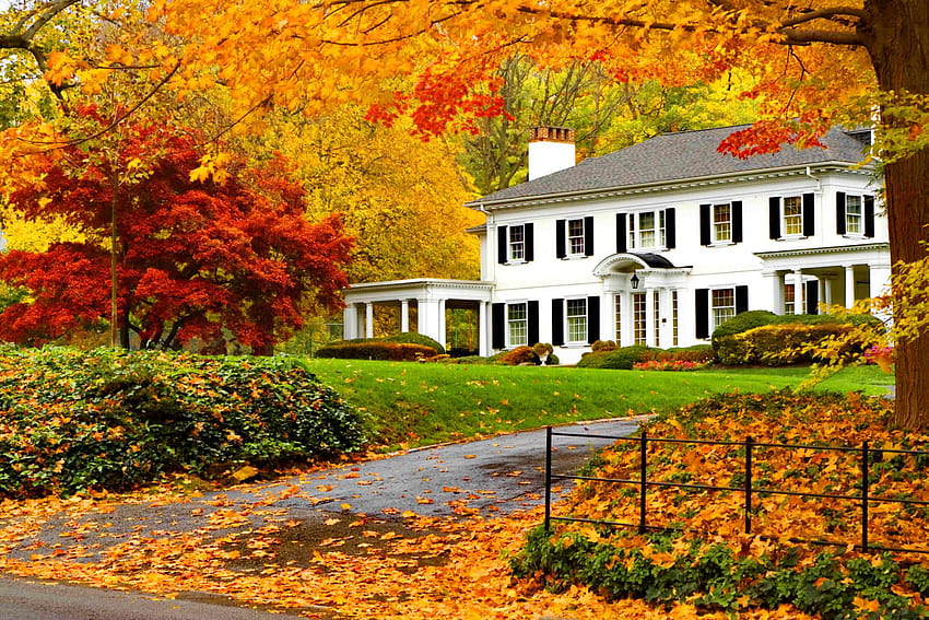 Why Smart Spring Sellers …Start in Autumn : Fairfield County CT Real, connecticut HD wallpaper