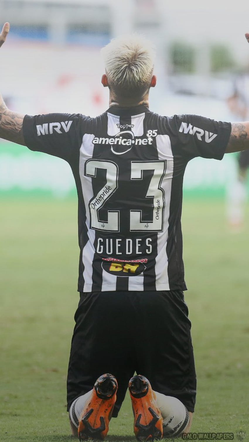 Galo on Twitter:, roger guedes HD phone wallpaper