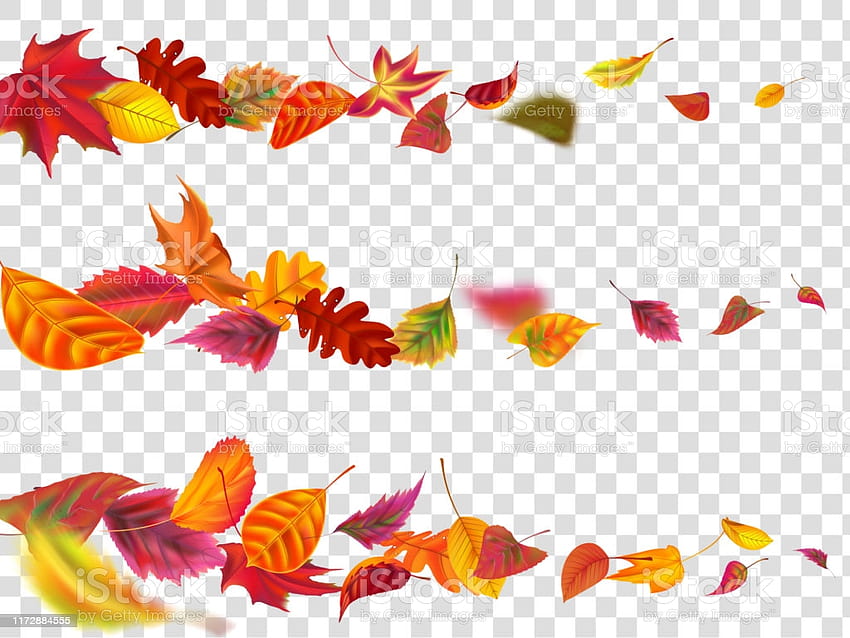 Daun Musim Gugur Terbang Daun Jatuh Banner Daun Taman Kuning Terbang Ilustrasi Vektor Realistik Mengatur Ilustrasi Stok Wallpaper HD